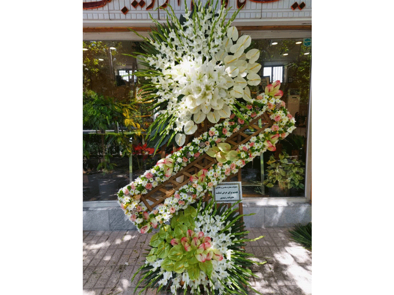 گل اردیبهشت در مشهد