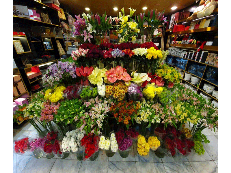 گل فروشی سلین در مشهد