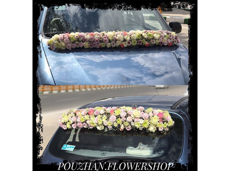 گل پوژان در مشهد
