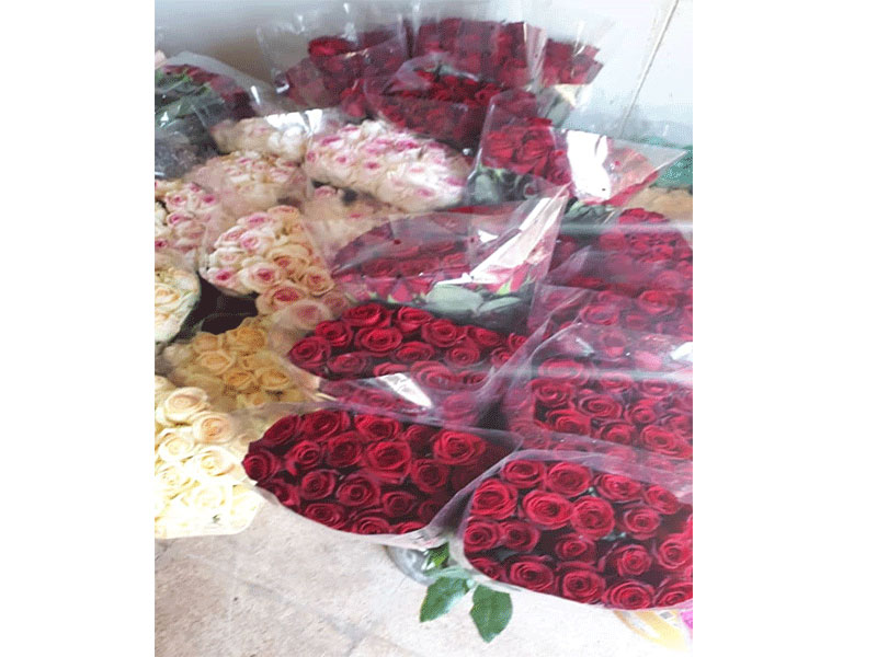 گل فروشی رز سلین در تهران