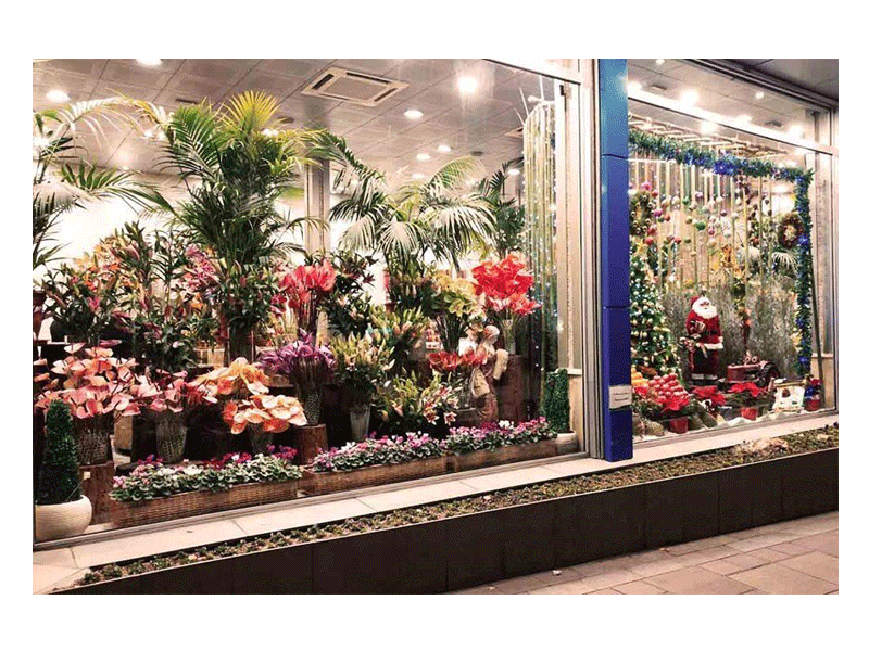 گل فروشی دنیای گل در ارومیه 