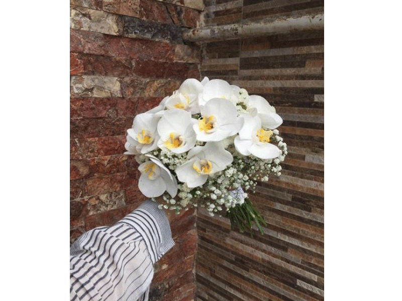 گل فروشی رز سفید در نوشهر