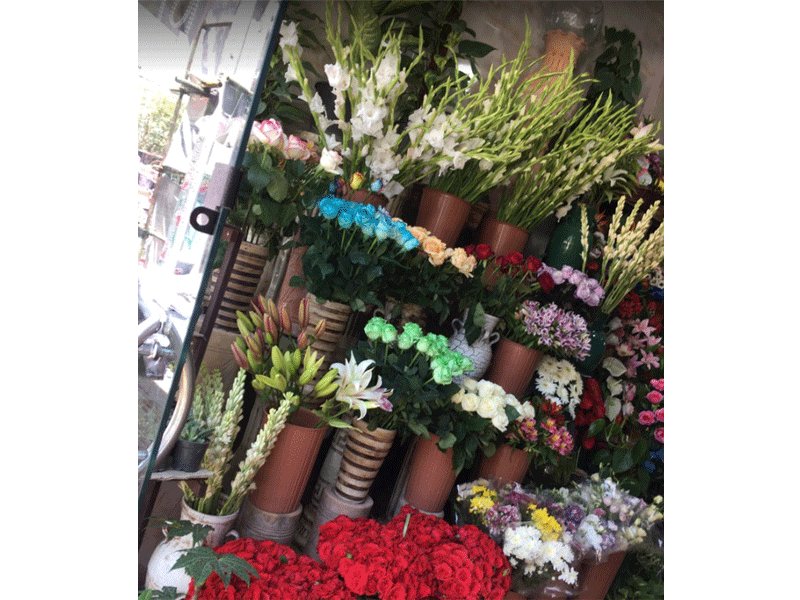گل فروشی یلدا در قدس