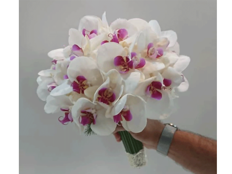 گل فروشی فرشید در ارومیه
