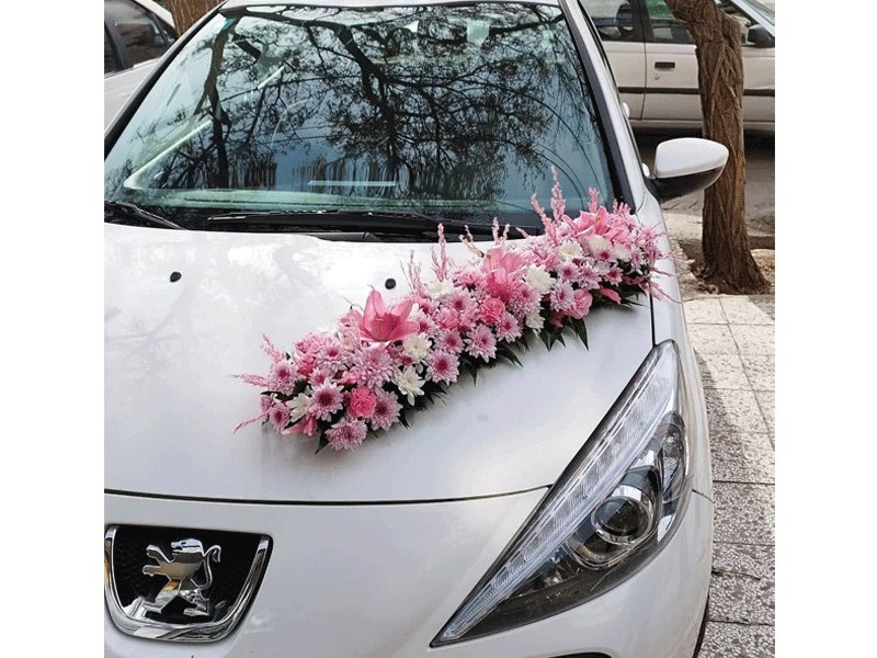 گل رابو در مشهد