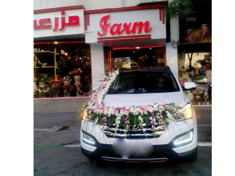 گل فروشی مزرعه در مشهد