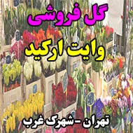 گل فروشی وایت ارکید در تهران