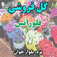 گل فروشی فلورانس در یزد