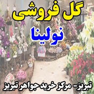 گل فروشی نولینا در تبریز