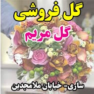 گل فروشی گل مریم در ساری