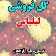 گل فروشی لیلیاس در کرمان