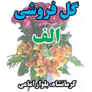 گل فروشی الف در کرمانشاه