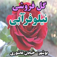 گل فروشی نیلوفرآبی در بوشهر