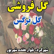 گل فروشی گل نرگس در شهر کرد