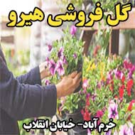 گل فروشی هیرو در خرم آباد
