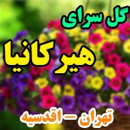 گل فروشی هیرکانیا در تهران 