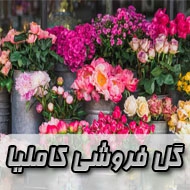 گل فروشی کاملیا در کرمان