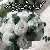 گل فروشی مینیاتور در نظرآباد