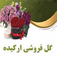 گل فروشی ارکیده در مشهد