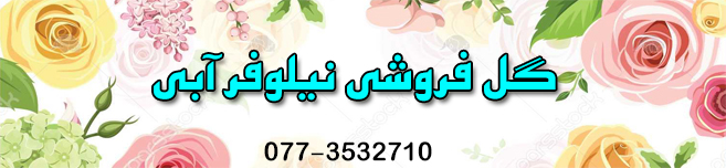 گل فروشی نیلوفرآبی در بوشهر