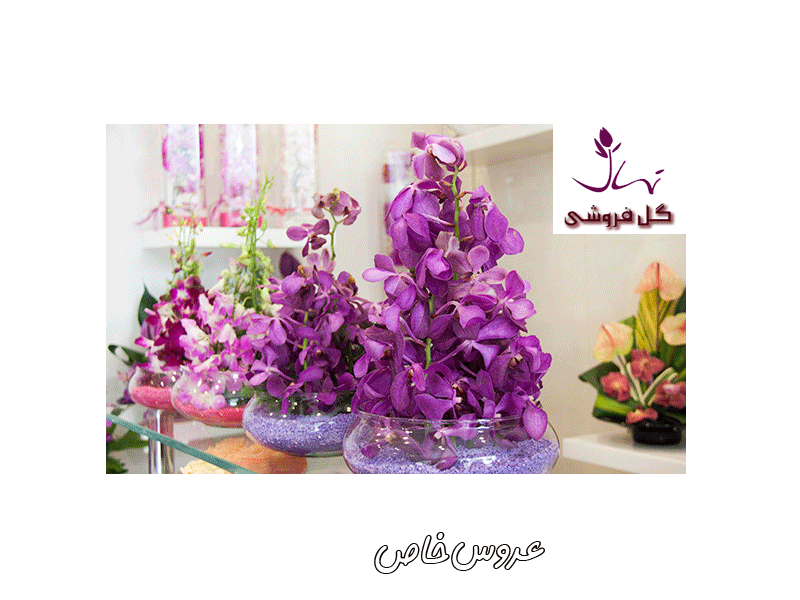 گل فروشی نهال در تهران