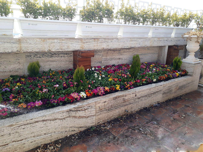 گل و گیاه البرز در مشهد