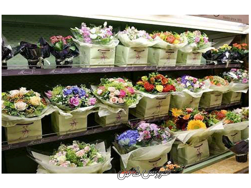 گل فروشی قصرگل در سمنان 