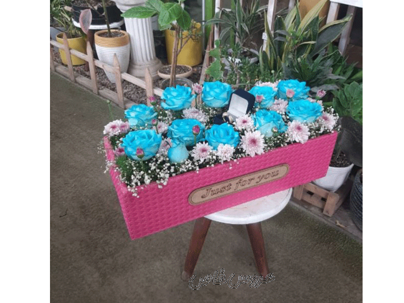 گل فروشی افوربیا در آمل