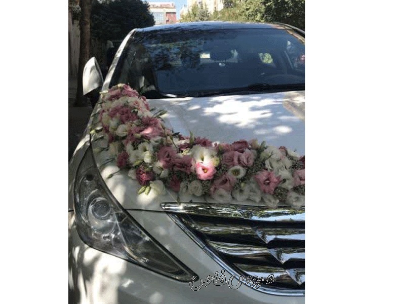 گل فروشی ارکیده در مشهد