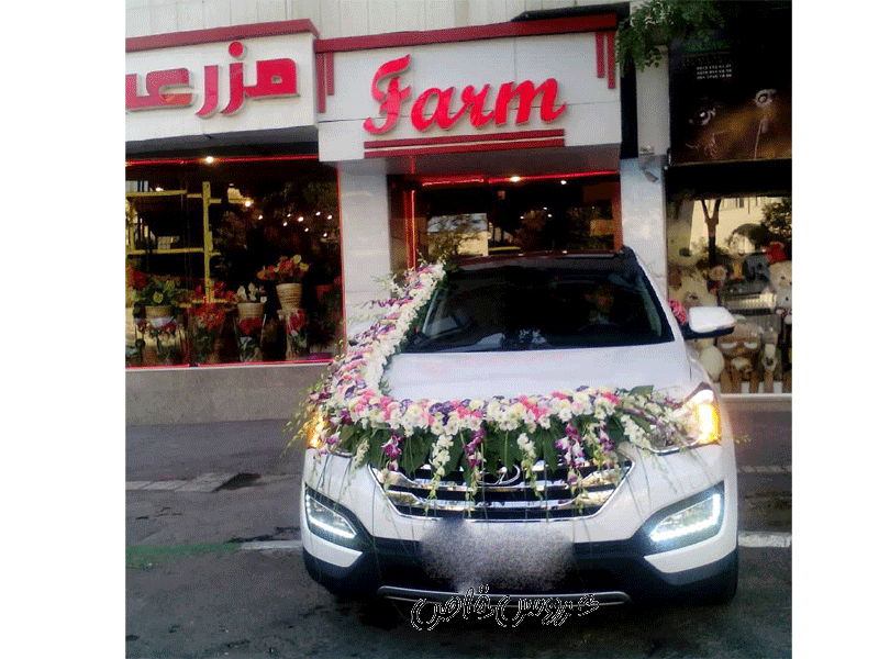گل فروشی مزرعه در مشهد